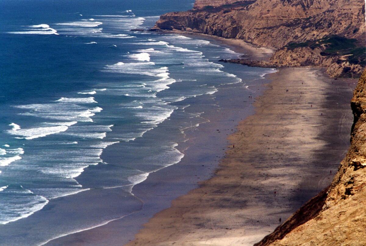 A view of San Diego's Black's Beach as seen from the cliffs above.
