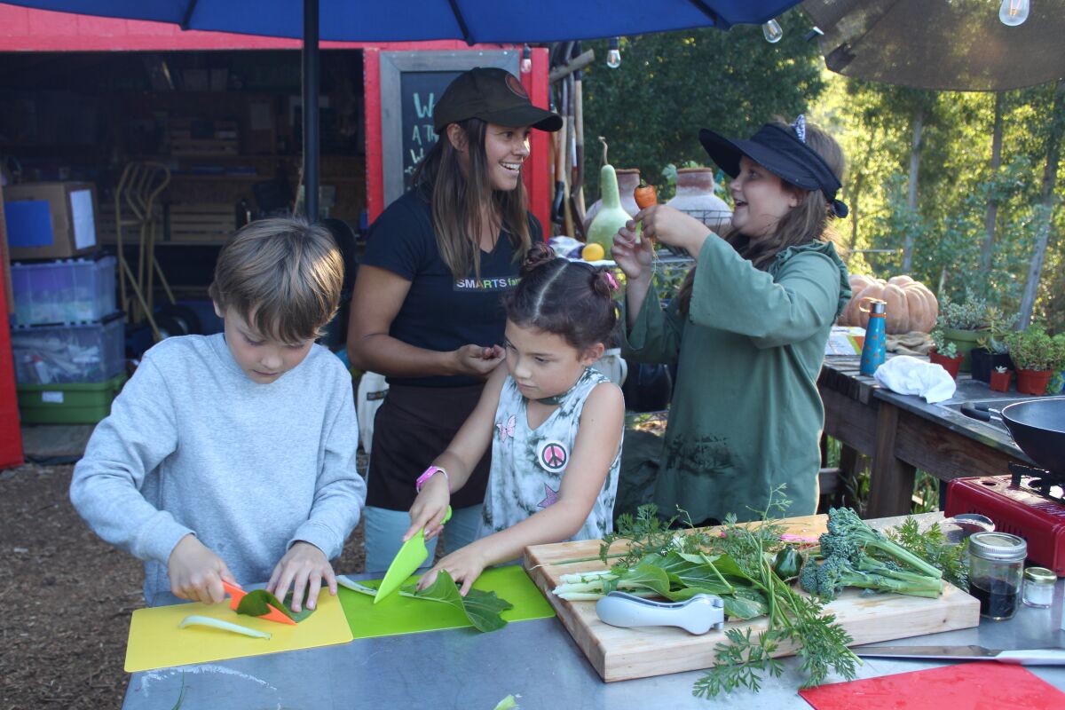 Students chop up locally-grown veggies at the SMARTS Farm at the Orchard.