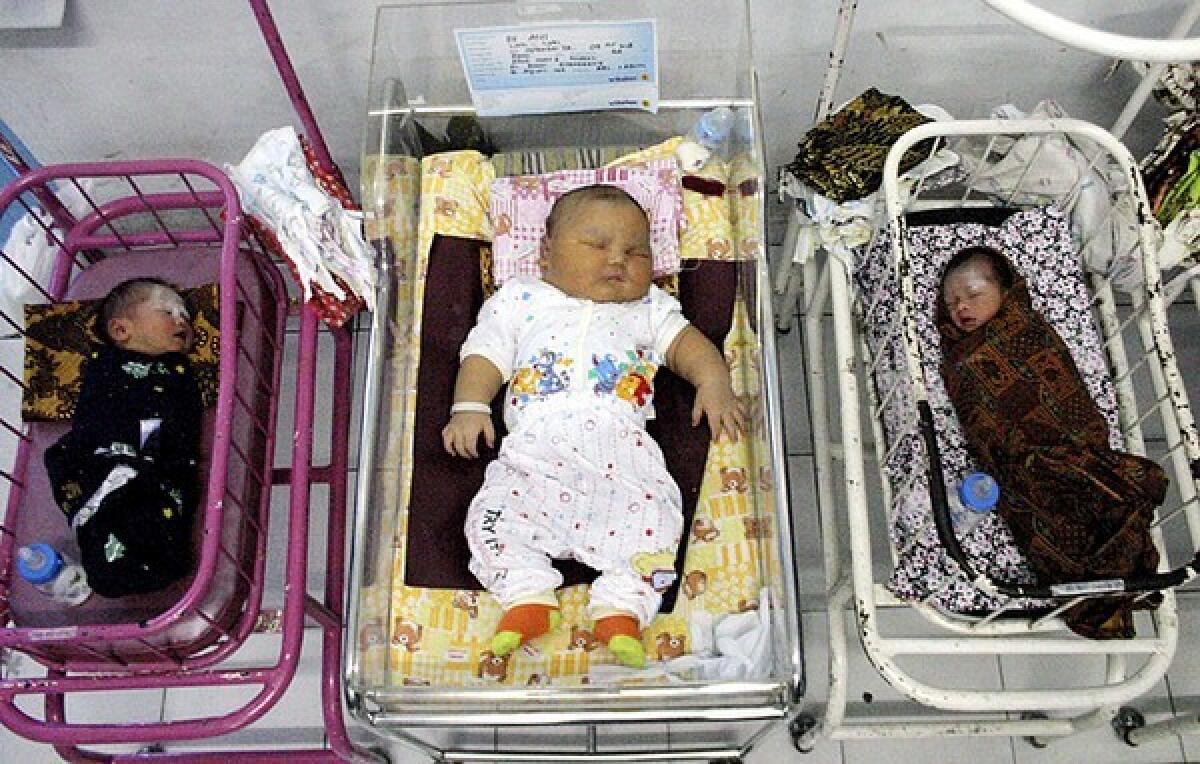 Akbar Risuddin -- his first name means "great" -- was born weighing a record 19.2 pounds. The Indonesian baby lies between two standard-size newborns at a hospital in Kisaran, in North Sumatra province.
