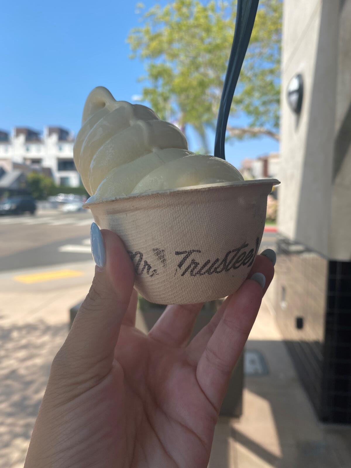 The Captain Crunch soft serve from Mr. Trustee Creamery. It has been rebranded to Wild Child.