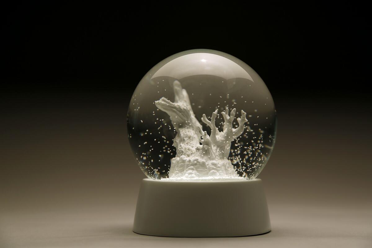 A snow globe from L.A. artist Jeff Weiss' Prometheus Project honors an ancient bristlecone cut down in Nevada's Great Basin. The artist discusses the project on The Conversation podcast with Michael Shaw.