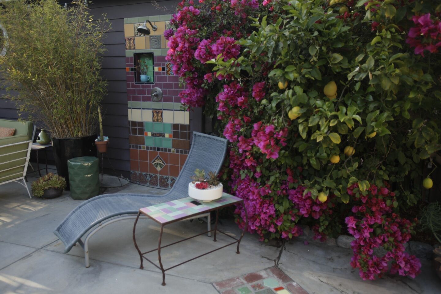 An inexpensive Ikea chaise provides another place to lounge with a good book. Gutierrez initially had the pink bouganvillea in a pot and has moved it to two different houses. The lemon tree also has grown since being transplanted from a 1-gallon pot. "I love my lemon tree," Gutierrez said. "I think everyone should have a lemon tree."