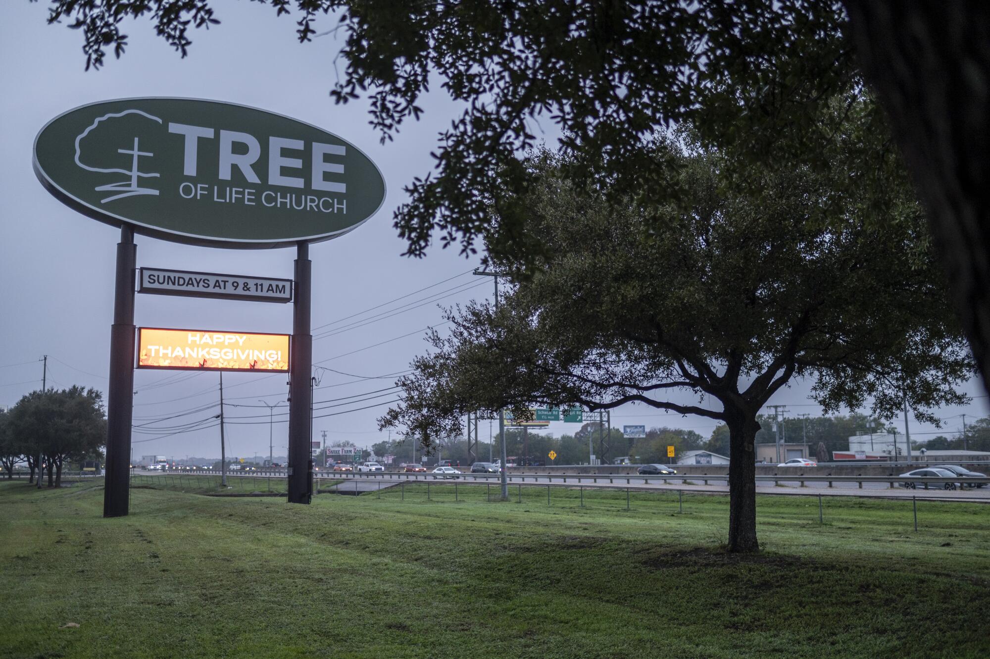 A sign along a tree-lined road marks the Tree of Life Church