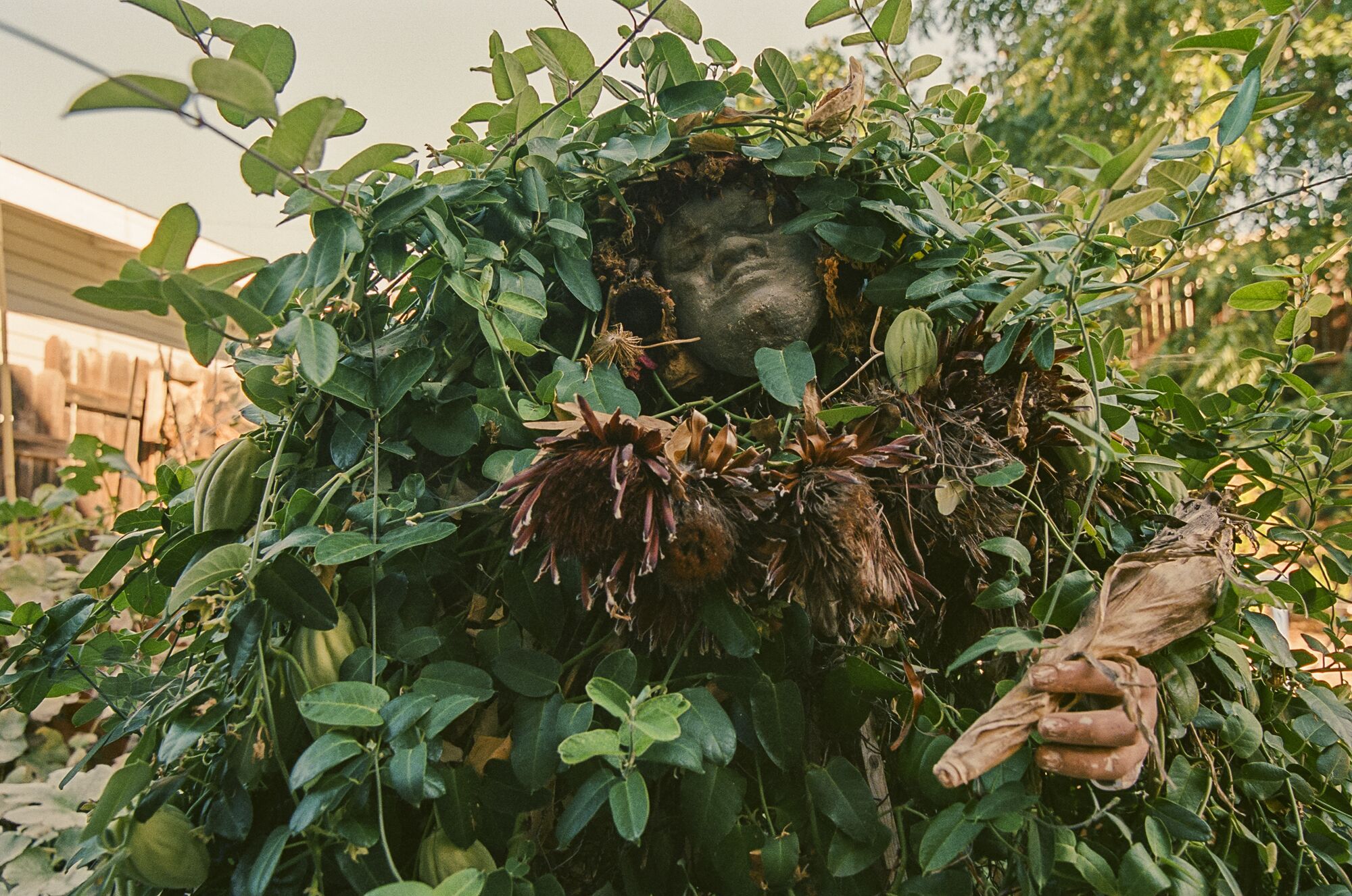 Une sculpture du neveu de Maria Maea.