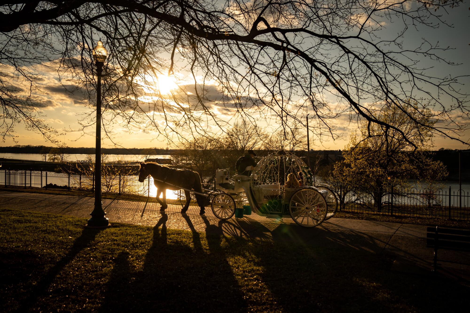 A horse-drawn carriage travels along the Mississippi River.
