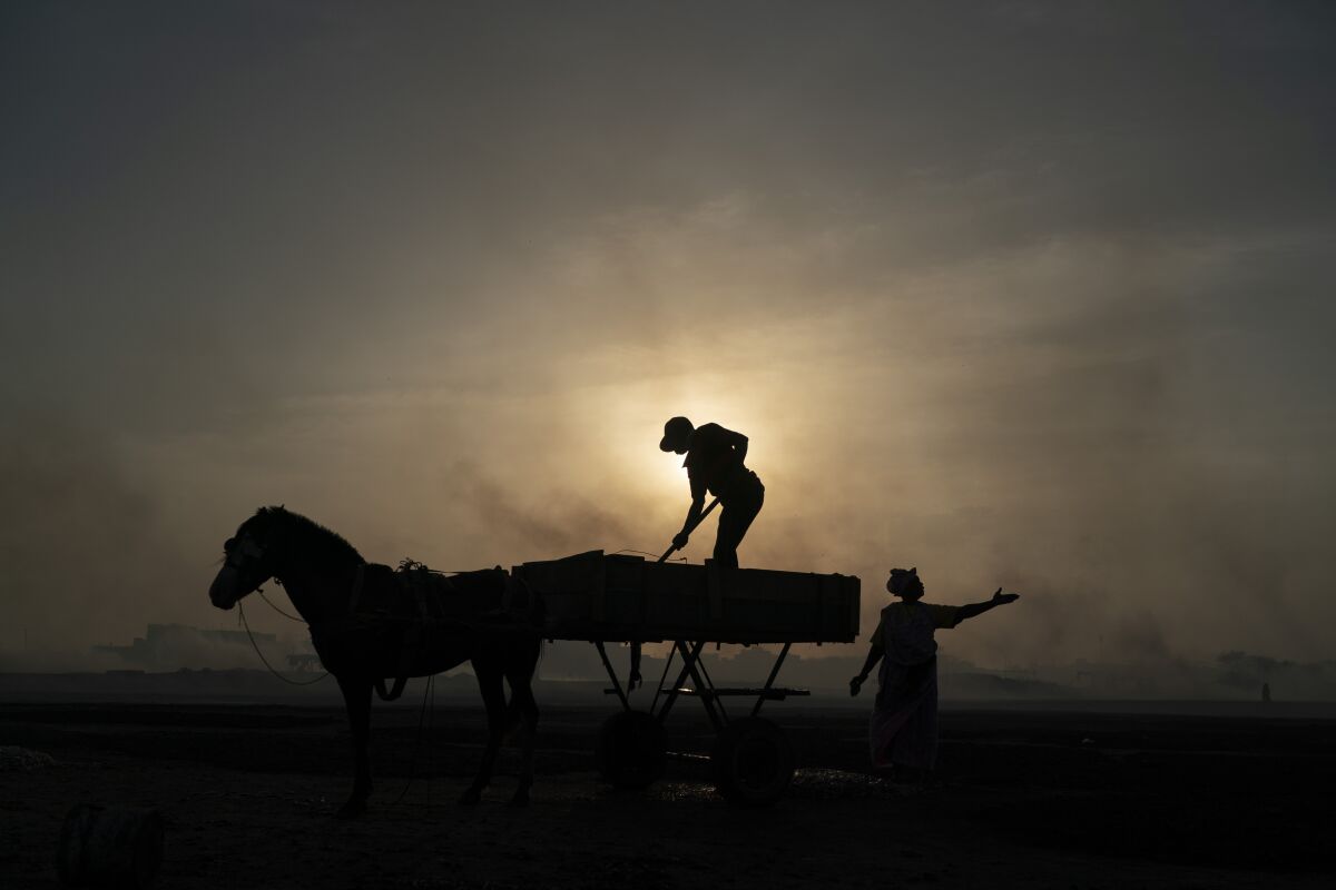 A woman gestures as a man unloads his horse-drawn cart of the catch brought by fishermen at Bargny beach, some 35 kilometers (22 miles) east of Dakar, Senegal, Thursday April 22, 2021. (AP Photo/Leo Correa)