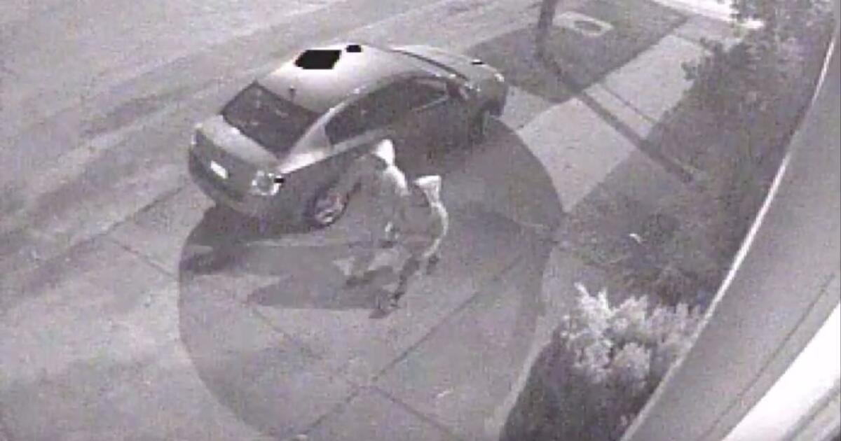 Long Beach police seek 2 men who punched and dragged a 62-year-old woman and stole her cellphone