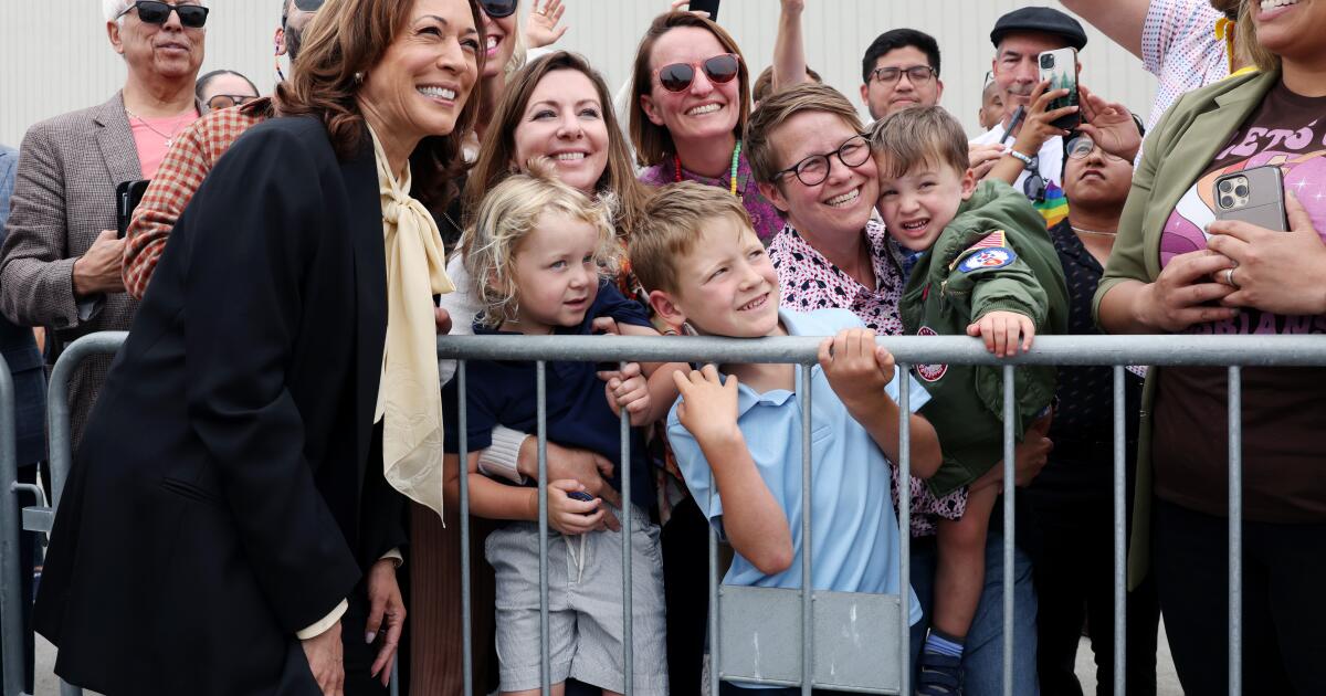 Column: Can Kamala Harris and an army of 'childless cat ladies' overcome Republicans' sexism?