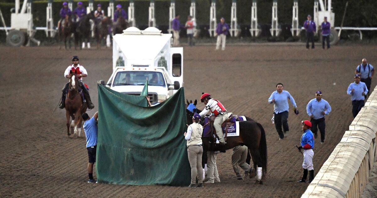 Why do race horses keep dying? Inside the sport’s push to solve a formidable problem