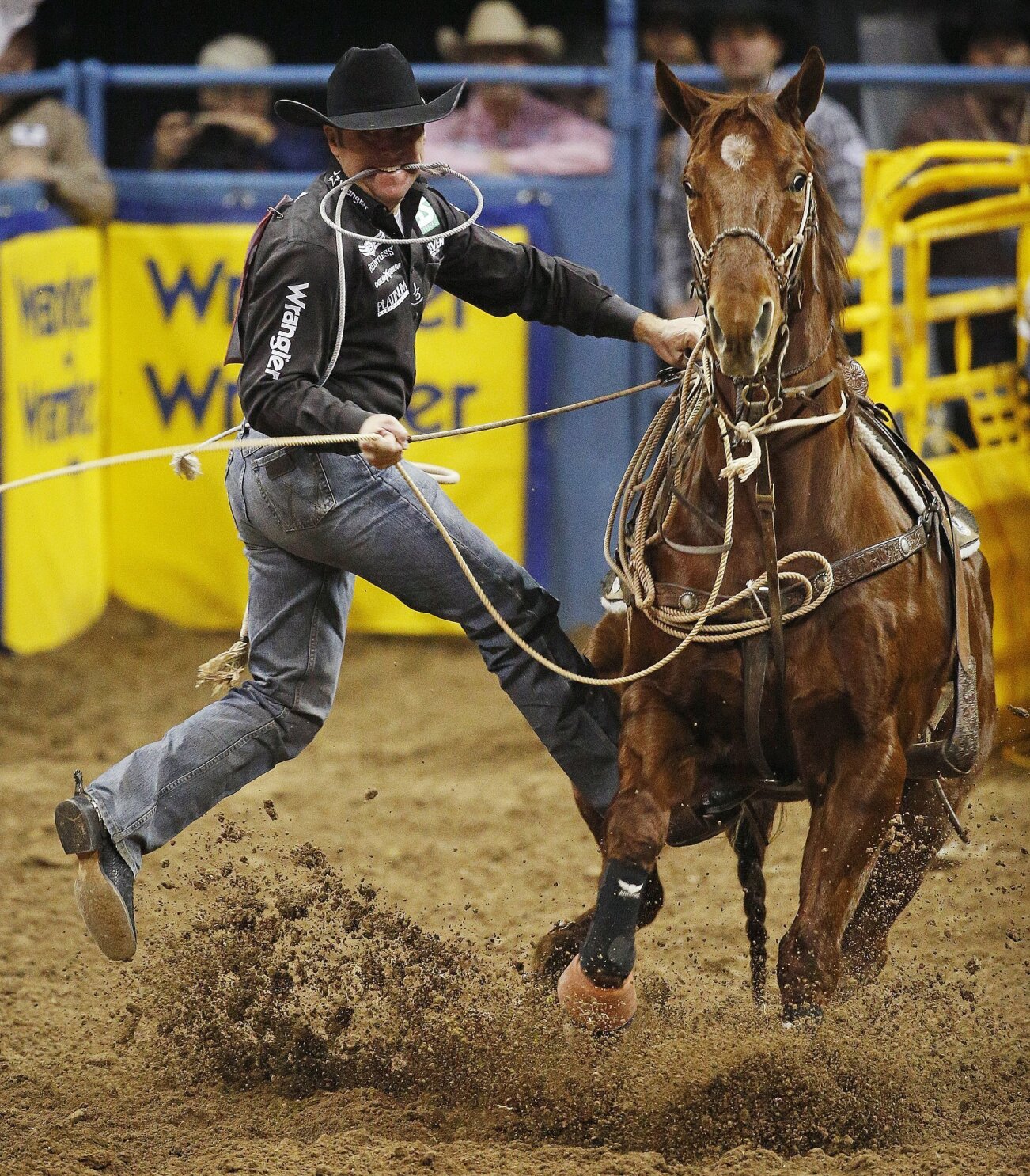 Brazile Surges In Standings After Tying Record At Nfr The San Diego Union Tribune
