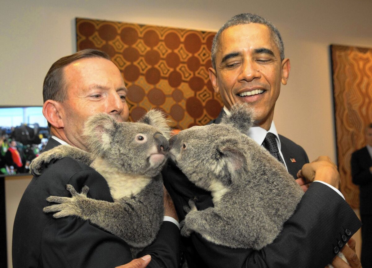 Australia's Prime Minister Tony Abbott and President Obama hold koalas before the start of the first G-20 meeting in Brisbane.