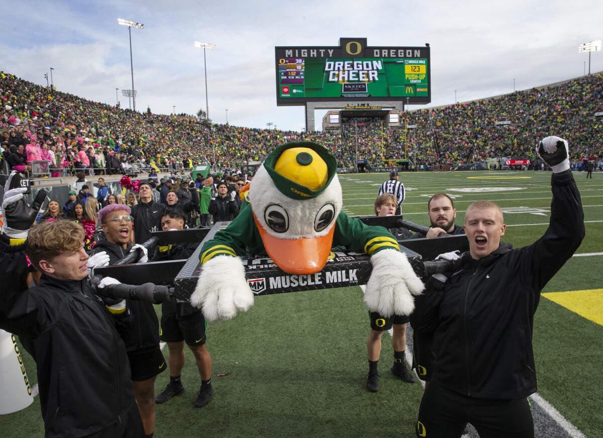 The Oregon duck mascot lies on a stretcher carried by six men next to a football field.