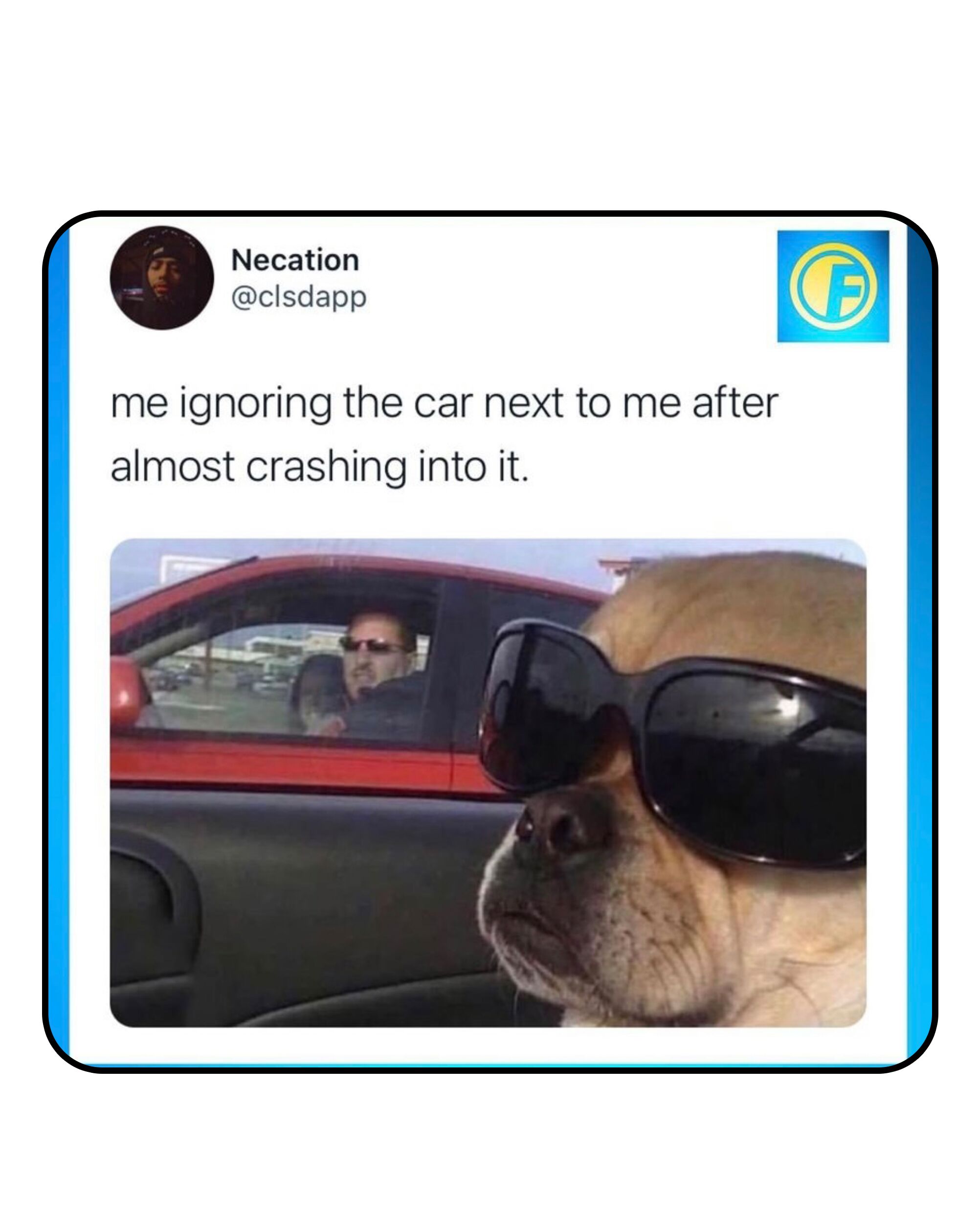 Tweet reading "me ignoring the car next to me after almost crashing into it." With a photo of a dog wearing sunglasses