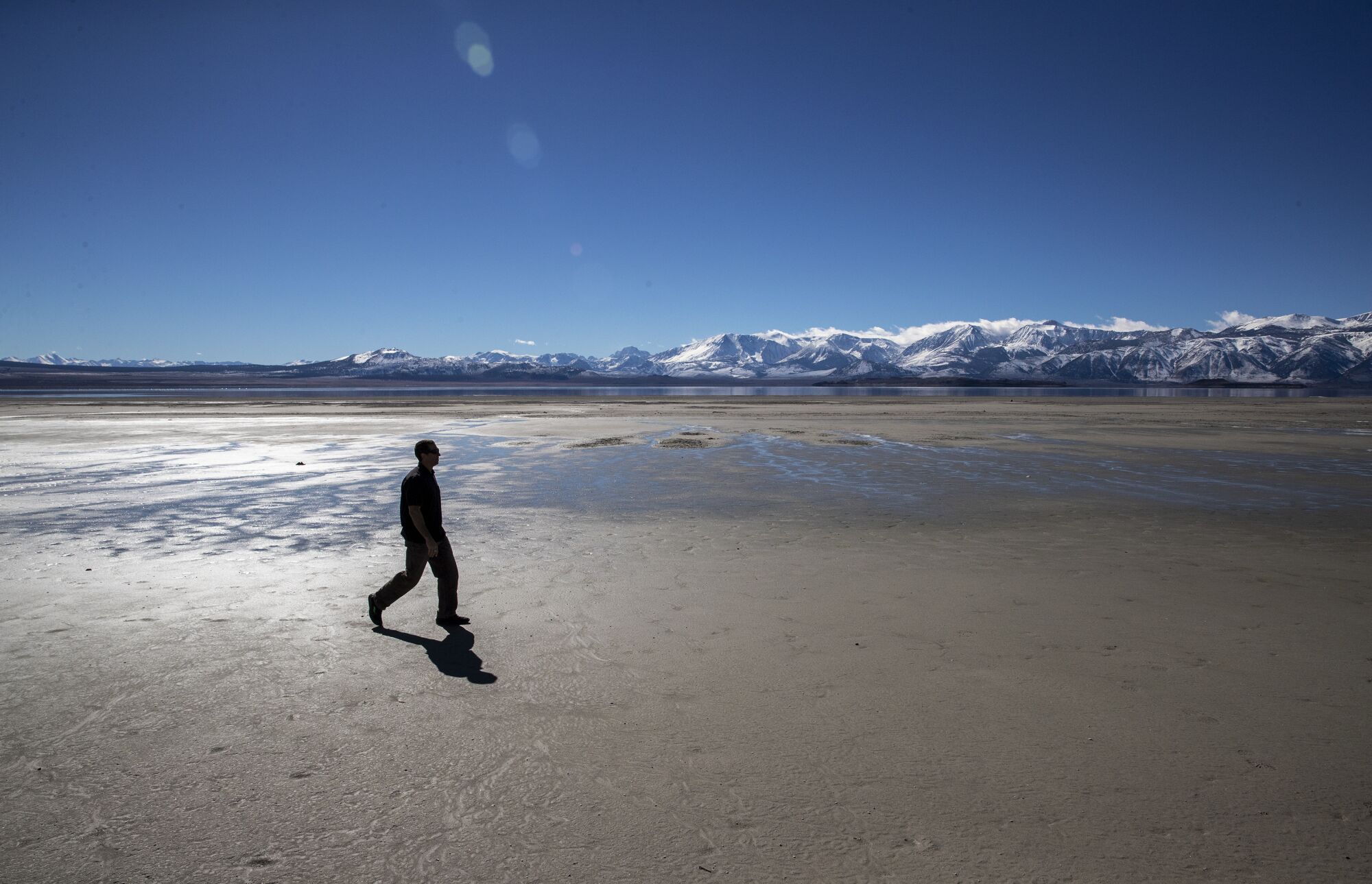 A person walks a lake shore.
