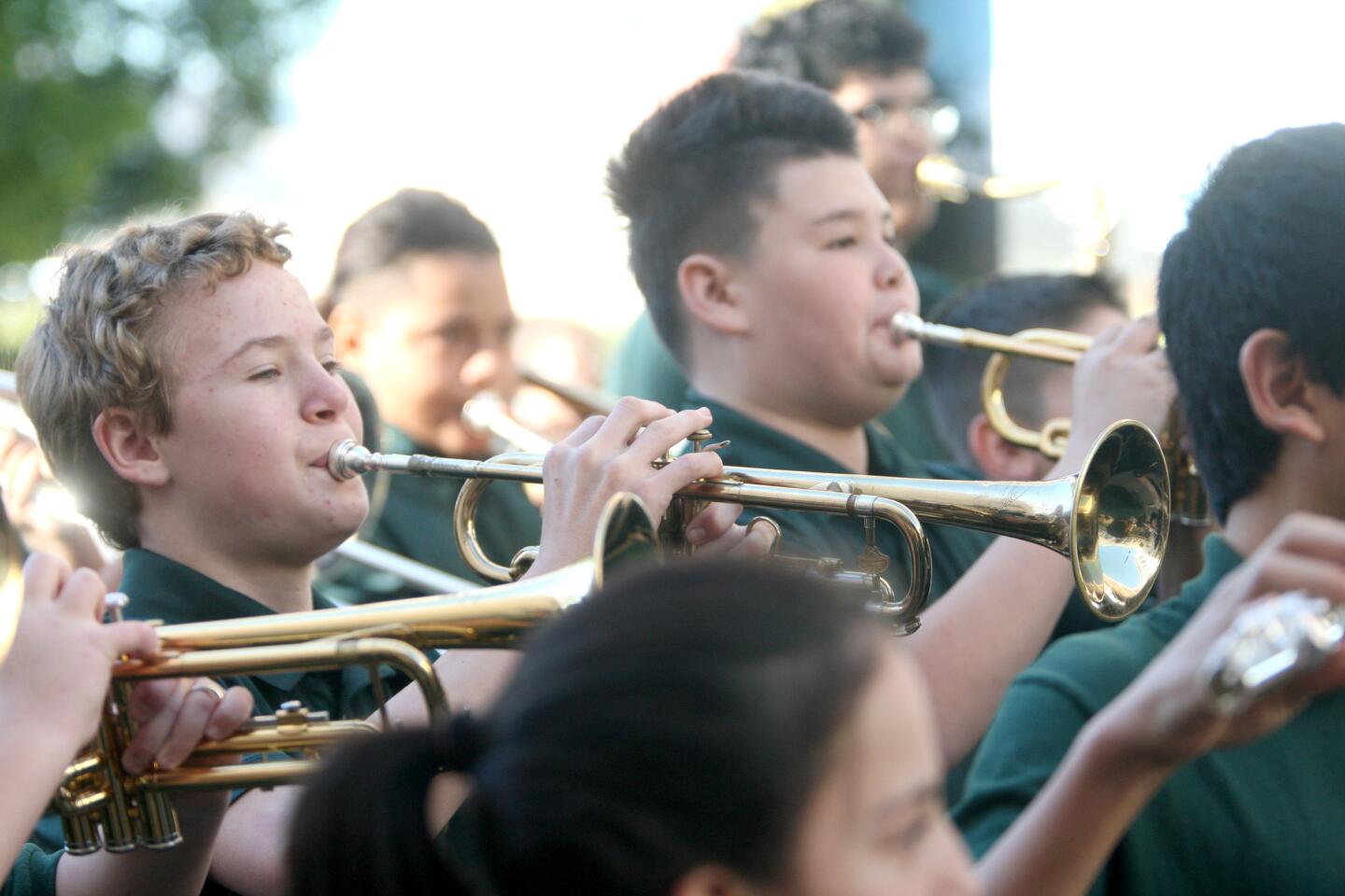 Photo Gallery: Toll Middle School unveils mural