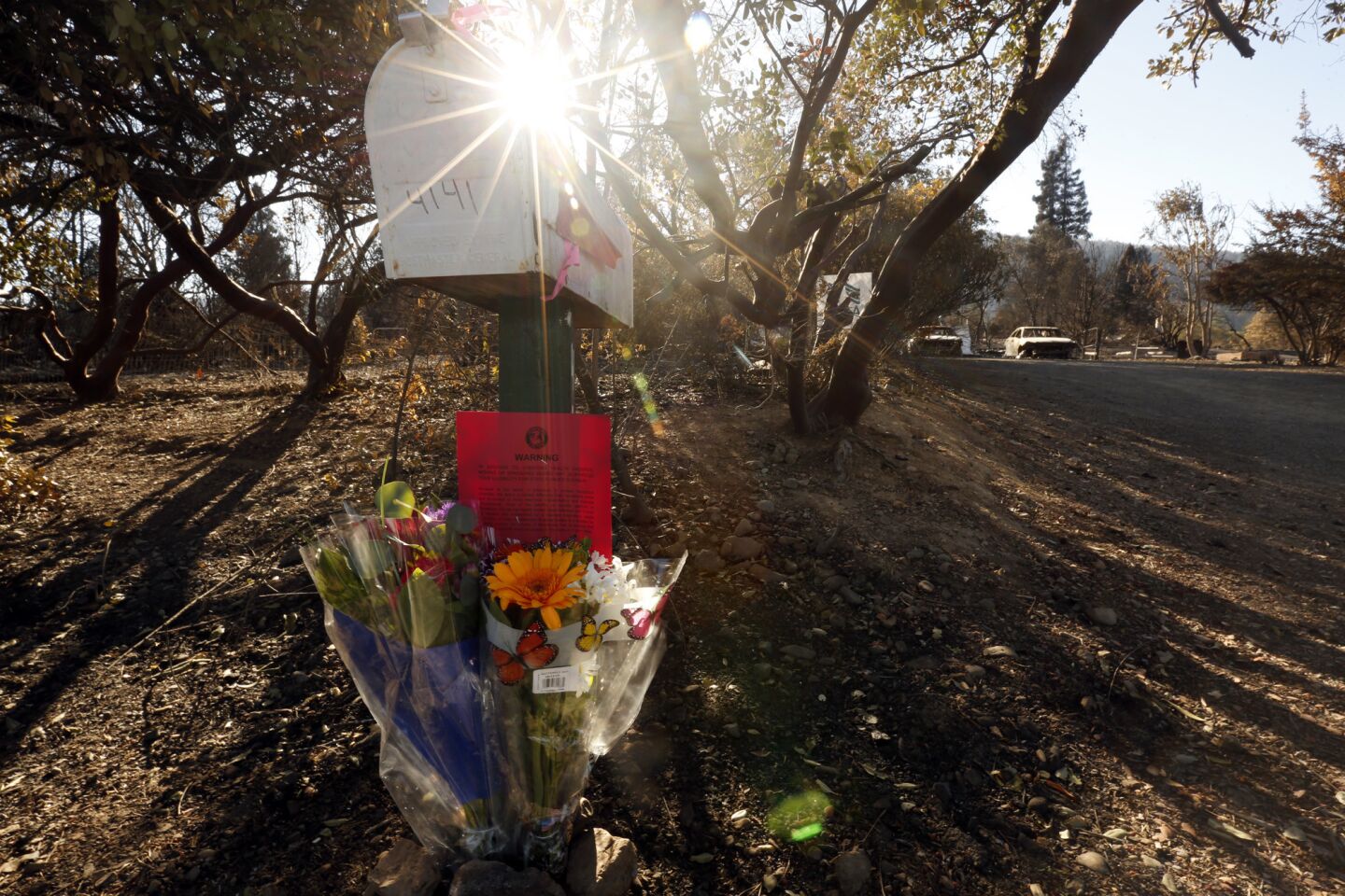 Flowers were left on the mailbox of Roy Howard Bowman, 87, and his wife, Irma Elsie Bowman, 88 who died at their Fisher Lake Drive home from the Redwood Valley fire.