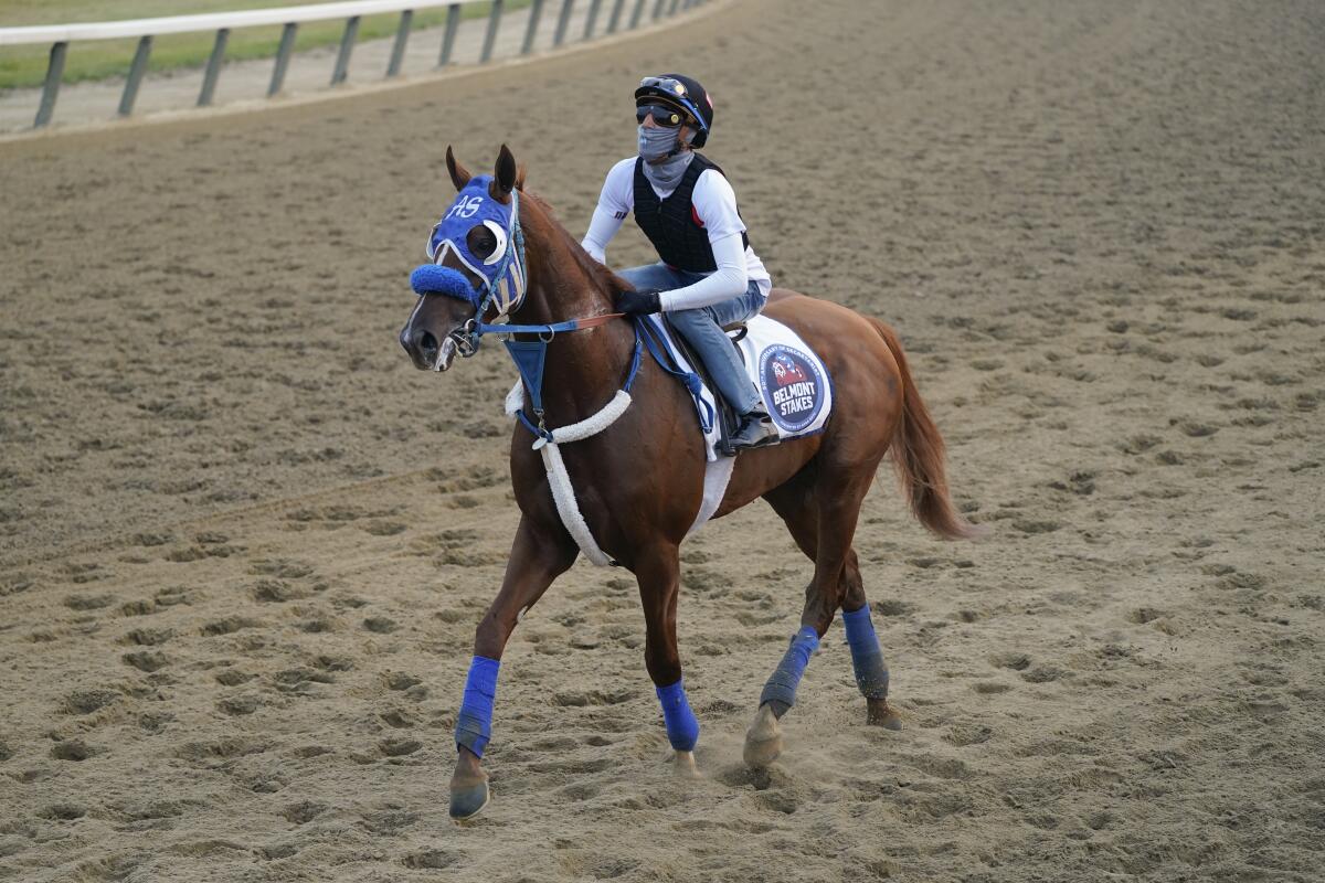 Belmont Stakes entrant Il Miracolo trains at Belmont Park on Wednesday.