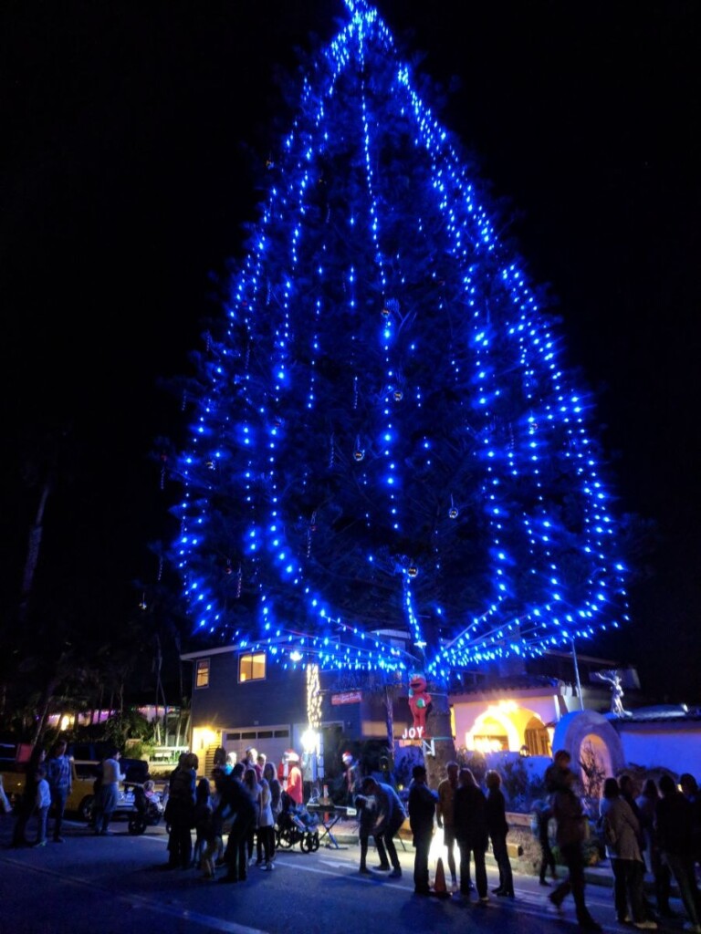 Heritage Tree to light the Encinitas sky Dec. 1 Encinitas Advocate