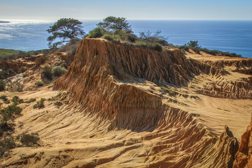 The dramatic landscape of Broken Hill in Torrey Pines State Natural Reserve.