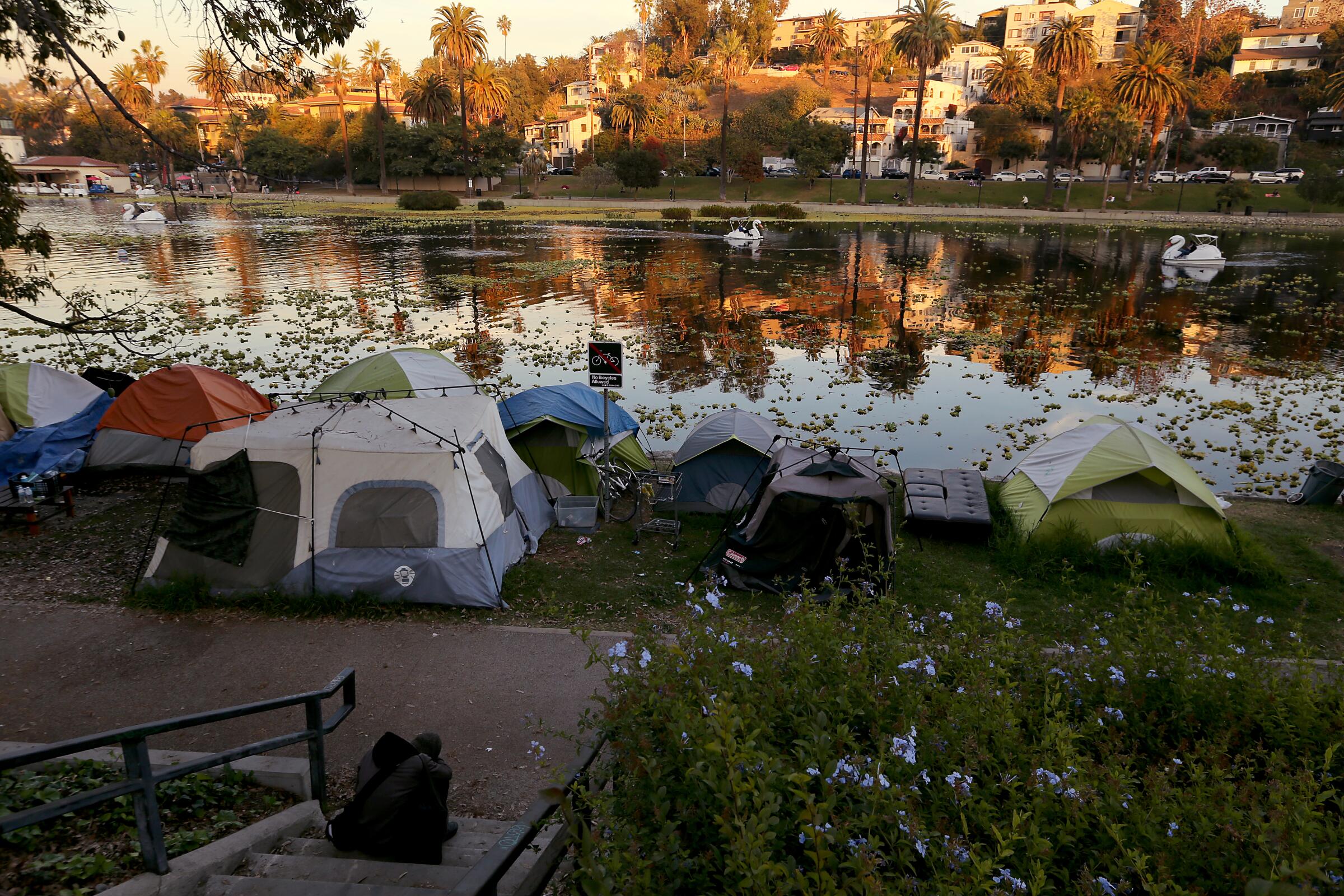 A homeless encampment sits in shadow on the banks of a lake, with houses illuminated by sunlight in the distance. 