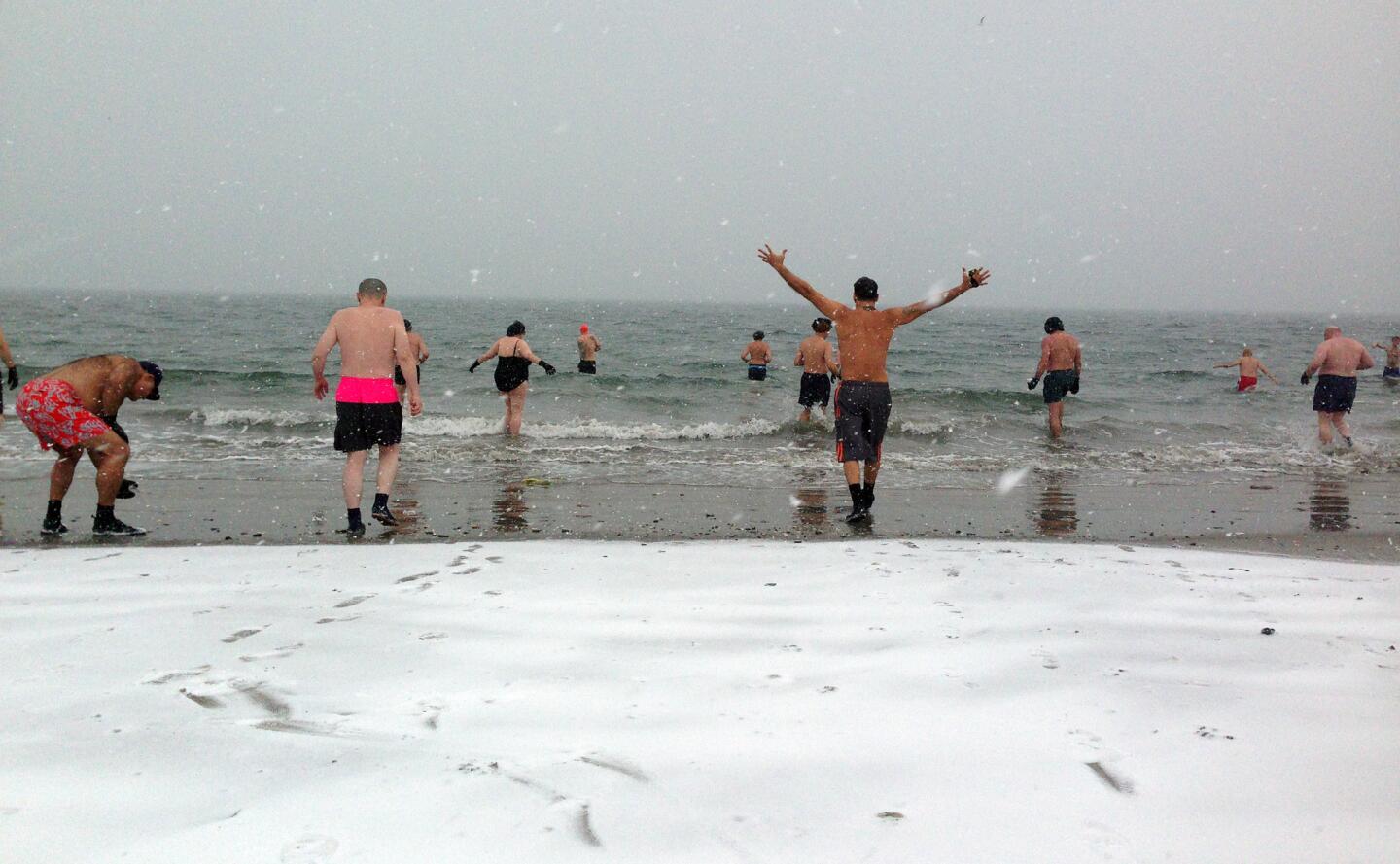 Sunday swims with the Polar Bear Club