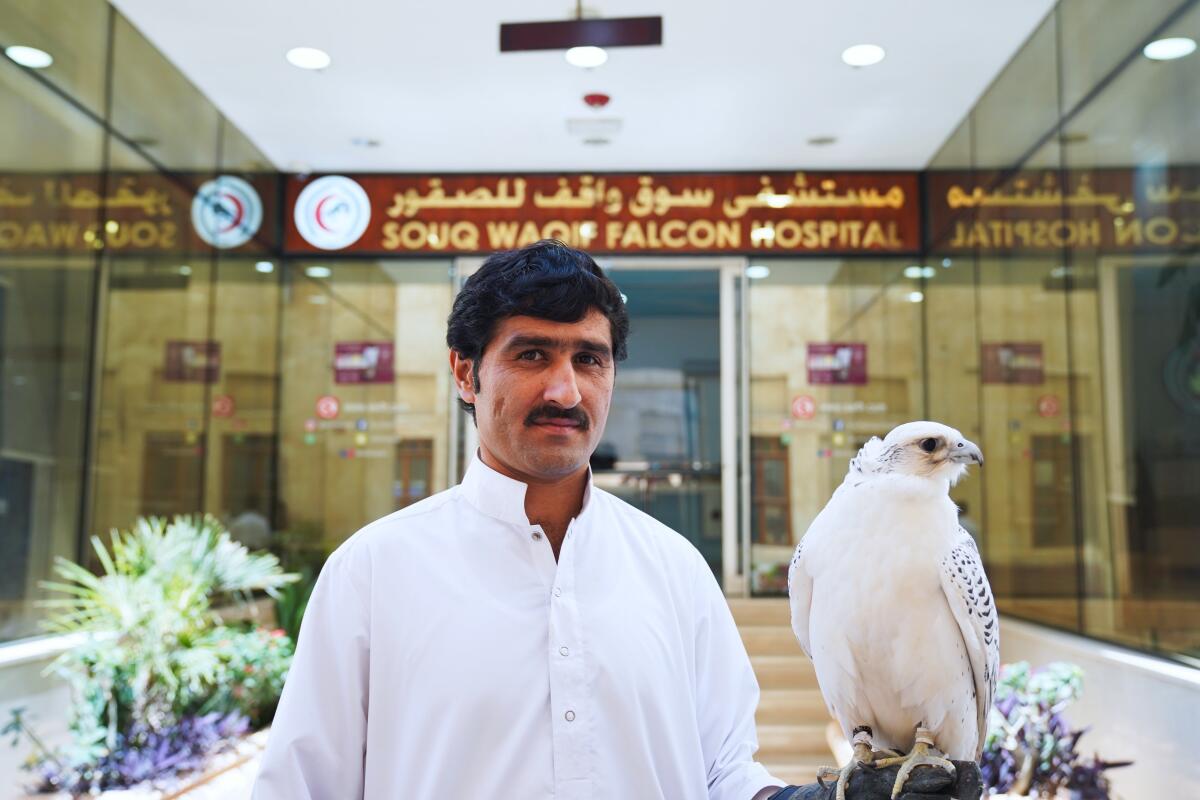 Khodr Allah, a Pakistani resident of Qatar, poses for a photograph with his falcon.