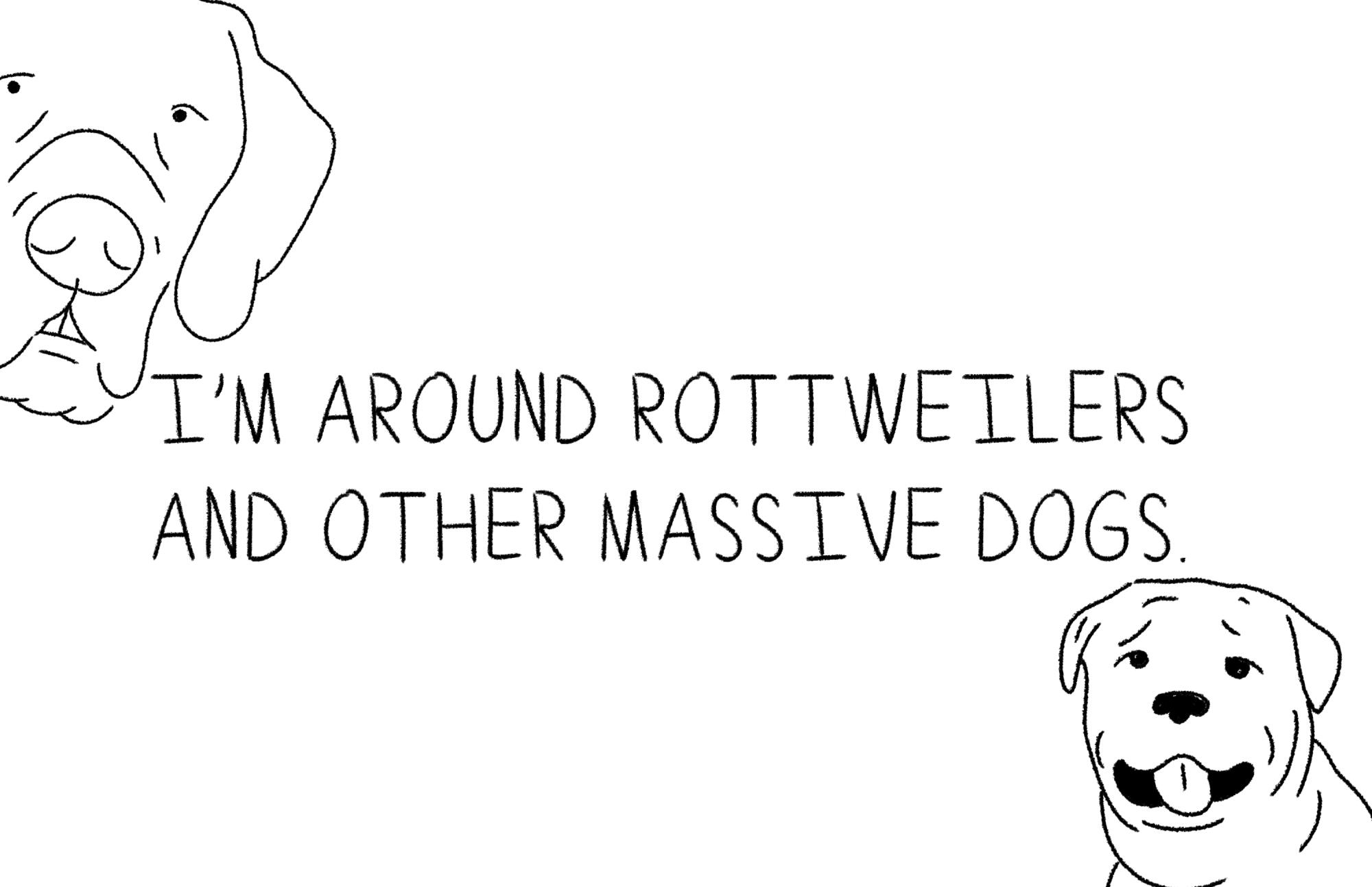 illustrations of a Great Dane and a rottweiler with text: I'm around rottweilers and other massive dogs.