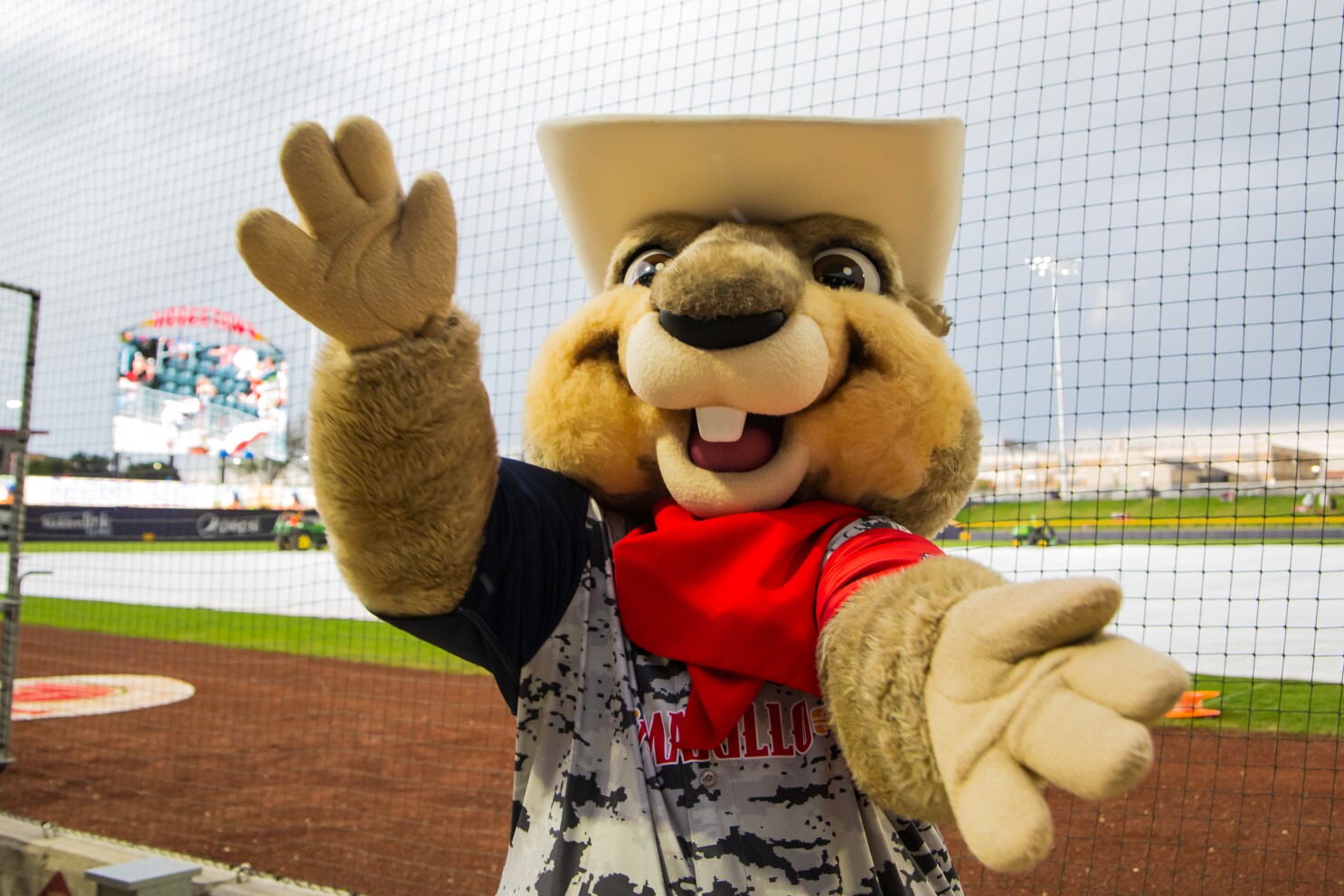 Minors Sod Poodles All Star Game Pushed To 21 The San Diego Union Tribune Minors Sod Poodles All Star Game Pushed To 21 The San Diego Union Tribune