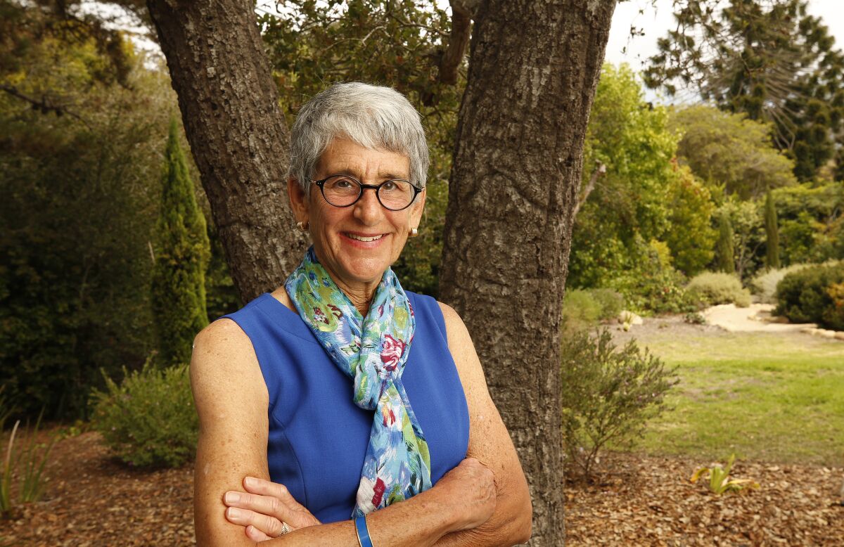 Former State Senator Hannah-Beth Jackson
