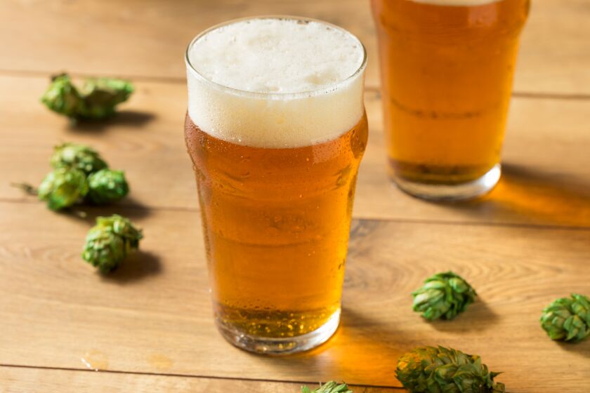 Refreshing Summer IPA Craft Beer with Hops