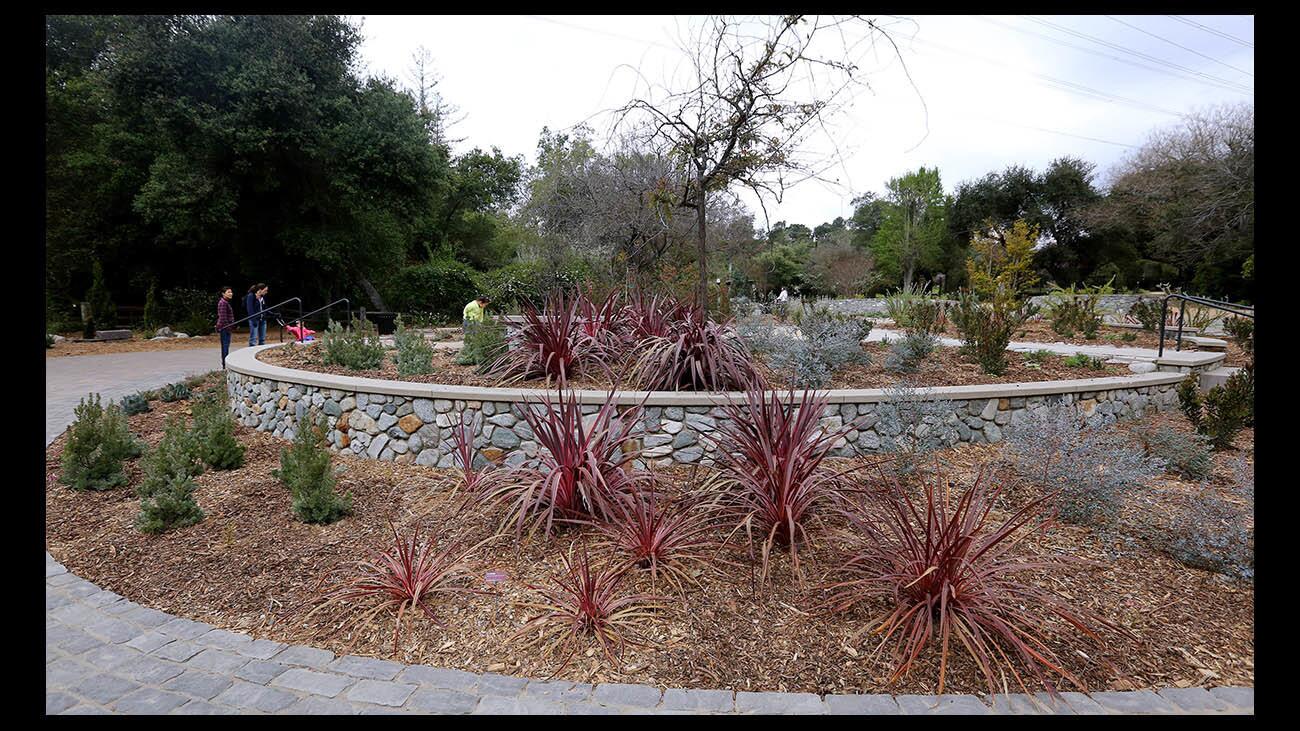 Photo Gallery: Descanso Gardens has newly re-designed drought-tolerant Center Circle