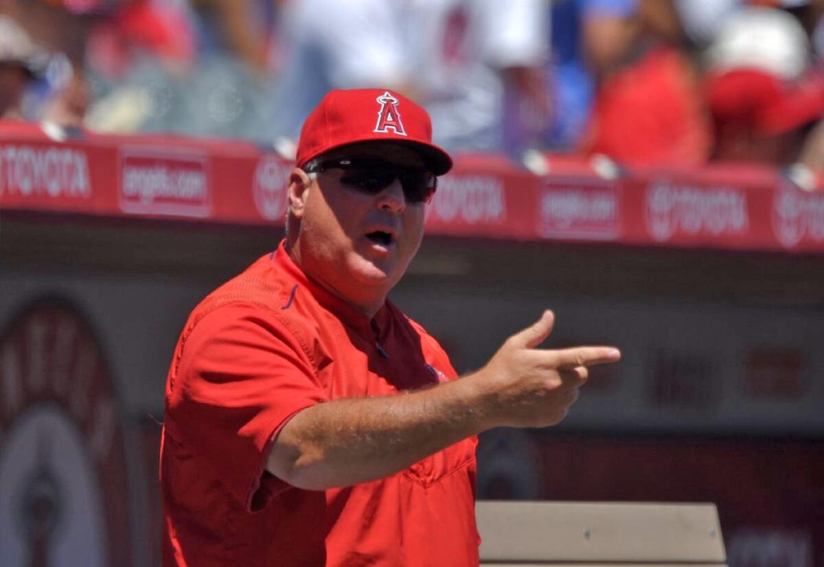 Angels Manager Mike Scioscia gestures to umpires during a game against the Indians.