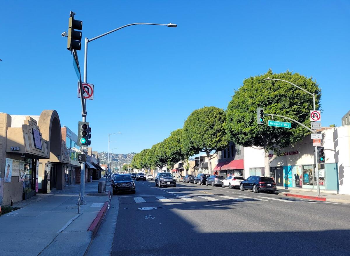 Robertson Boulevard in Beverly Hills is seen this month with ficus trees having been cut down on one side of the street.