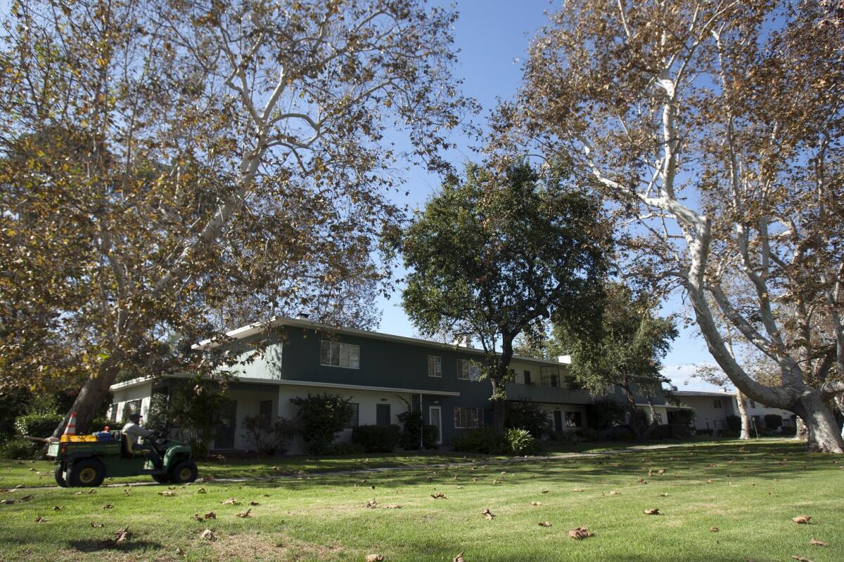 Trees surround homes at a Baldwin Hills condo, which is part of Village Green, a national historic landmark.