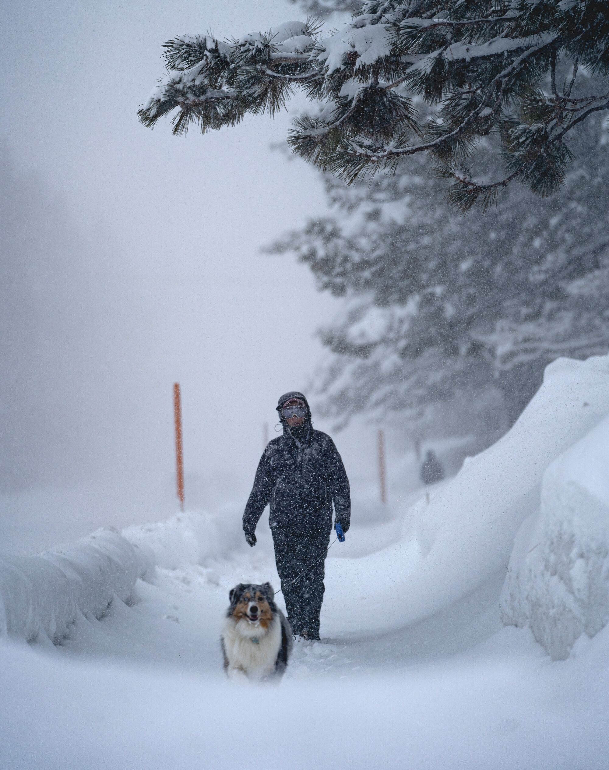 Mammoth Lakes, where the resort town has received 7 to 9 feet of new snow since Dec. 23.