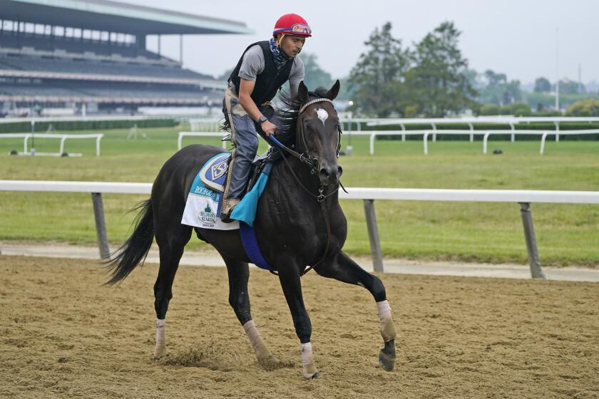 Rock Your World trains ahead of the 153rd running of the Belmont Stakes horse race in Elmont, N.Y., Thursday, June 3, 2021. (AP Photo/Seth Wenig)