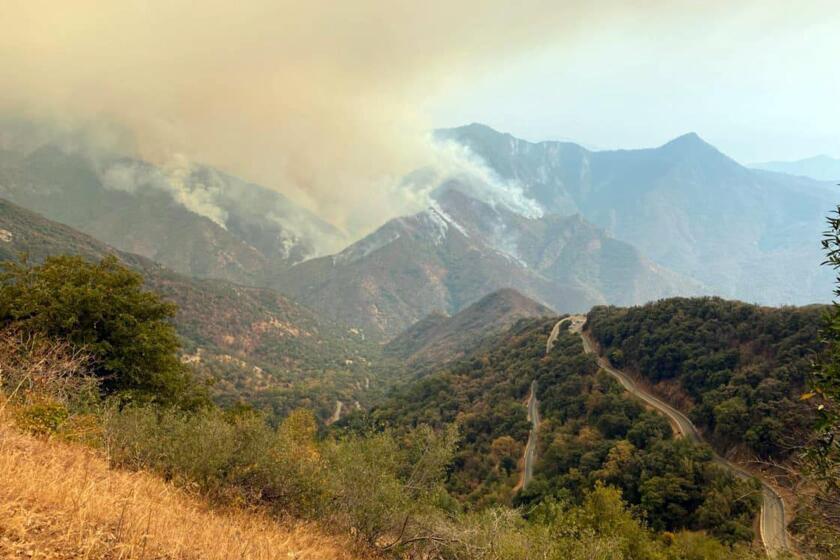 A smoke plumes rise from the Paradise Fire in Sequoia National Park, Calif.