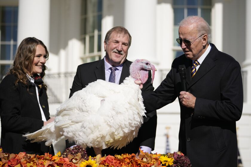 El presidente Joe Biden simbólicamente perdona a un pavo en la Casa Blanca en Washington, el 21 de noviembre del 2022. (Foto AP/Andrew Harnik)