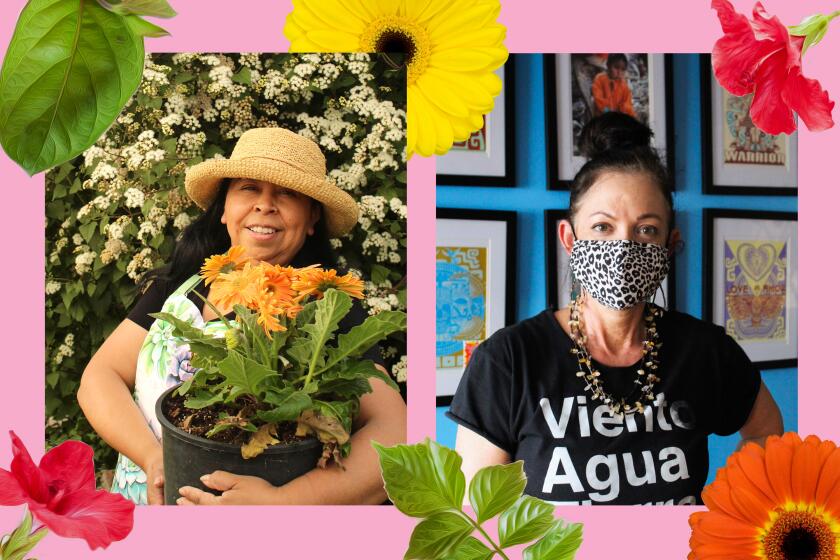 Portraits of two women in their gardens, photo of flowers surround them 