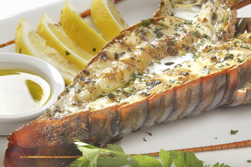 Lobster grilled with lemond and melted butter.