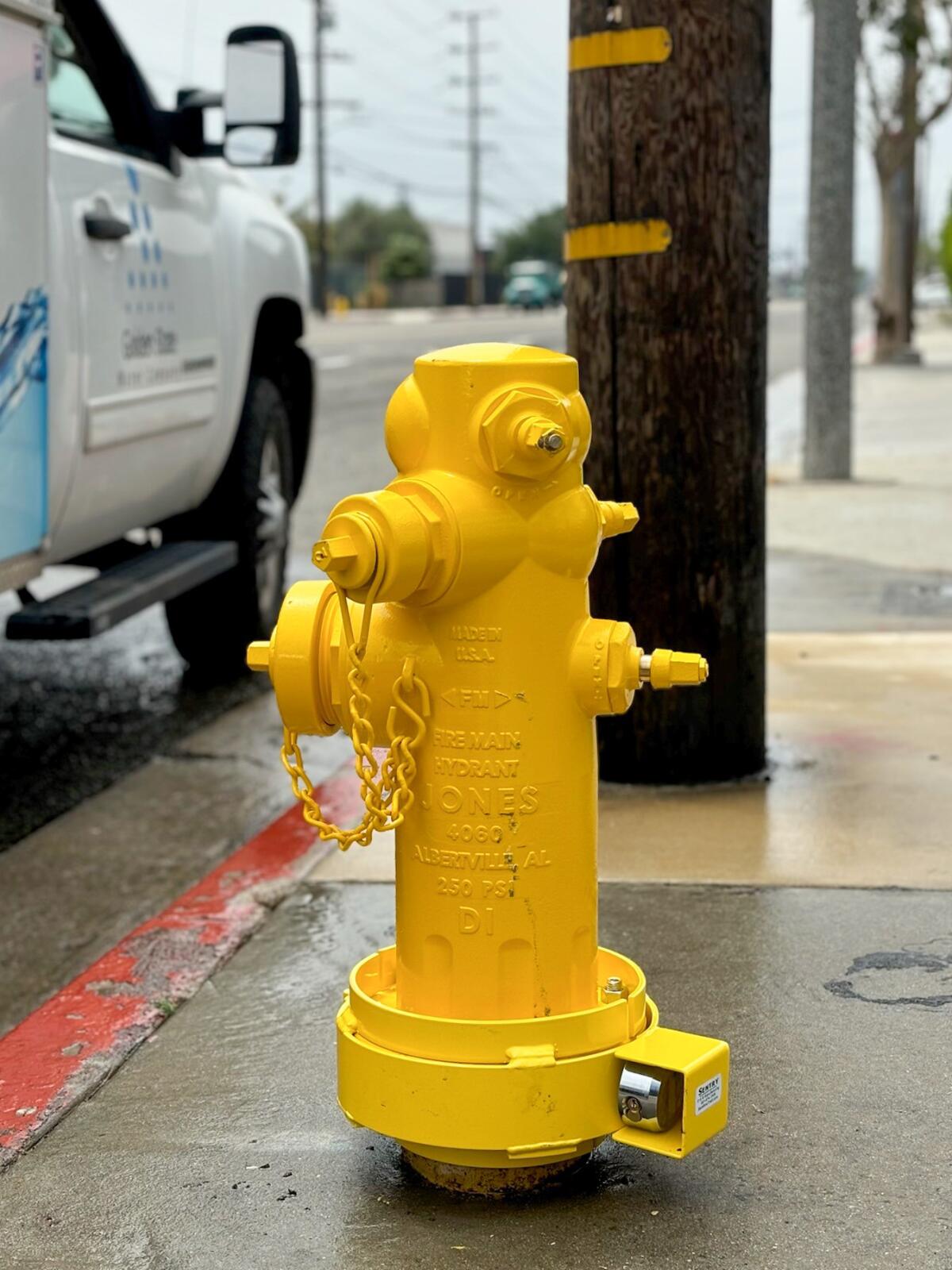 A new fire hydrant design is seen on Florence Graham off  82nd and Hooper Avenue in Los Angeles.