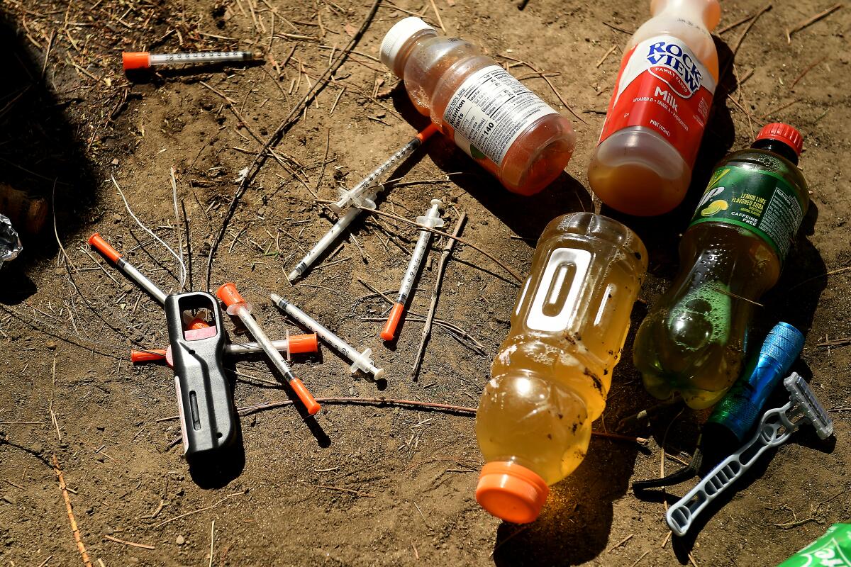 Syringes are gathered during a cleanup in Echo Park in 2021.