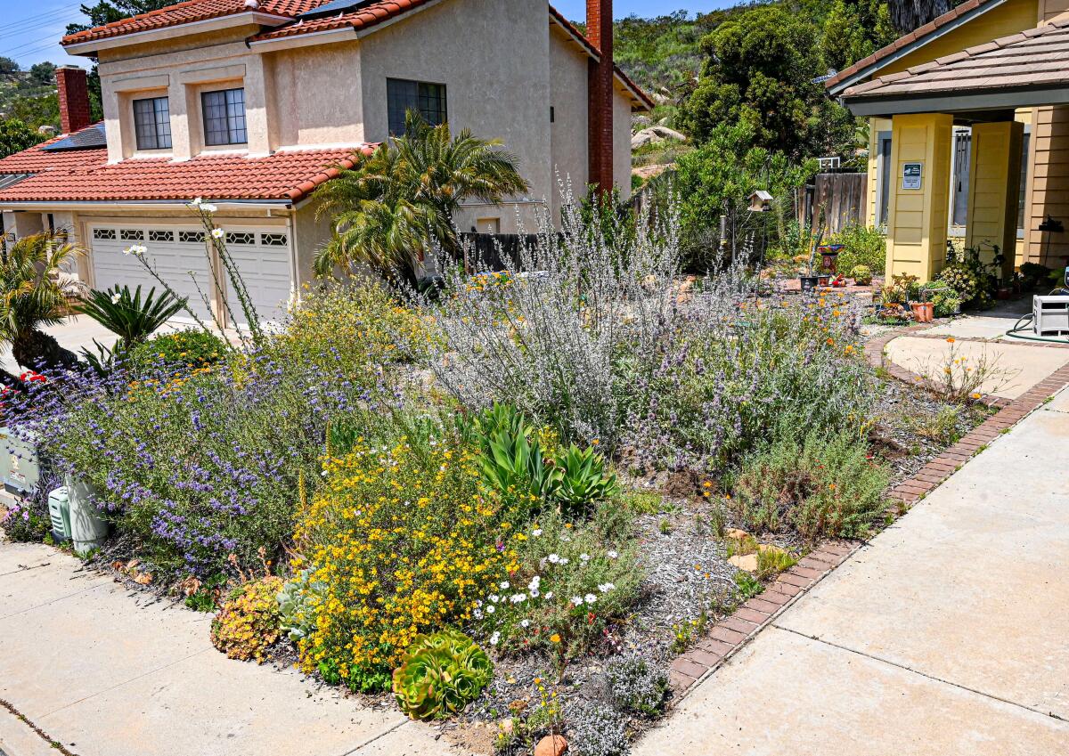Poway residents Michael and Criselda Yee will be showing these plants in their front yard during the garden tour.
