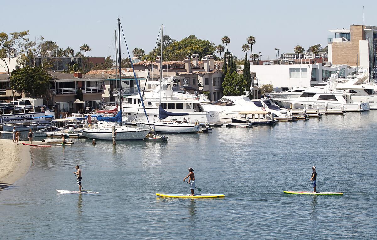 Paddle boarders cruise by a location where two yachts, one more than 100 feet long and the other more than 200 feet long, are to be anchored near west end of Lido Island in Newport Harbor.
