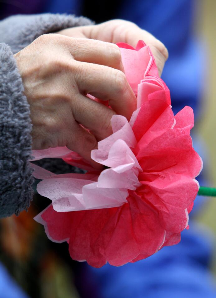 Photo Gallery: Descanso Gardens' Camellia and Tea Festival