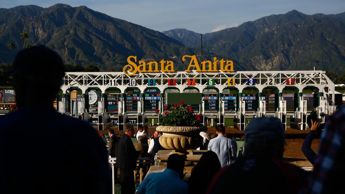 Twenty-three horses have died at Santa Anita since the start of the track's winter/spring meet on Dec. 26.