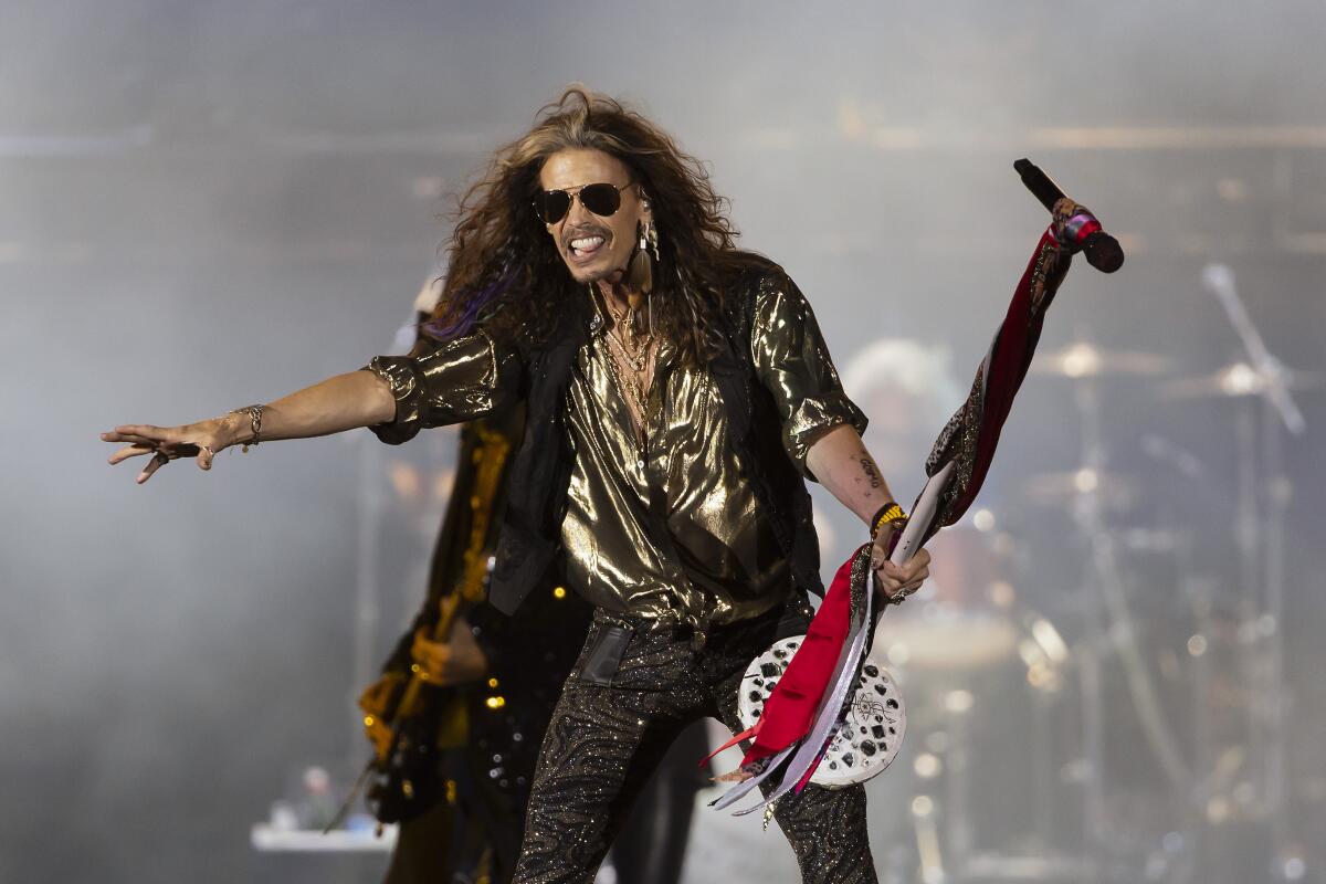 A long-haired man wearing rock-star attire and sunglasses performs onstage while holding a mic stand in his left hand