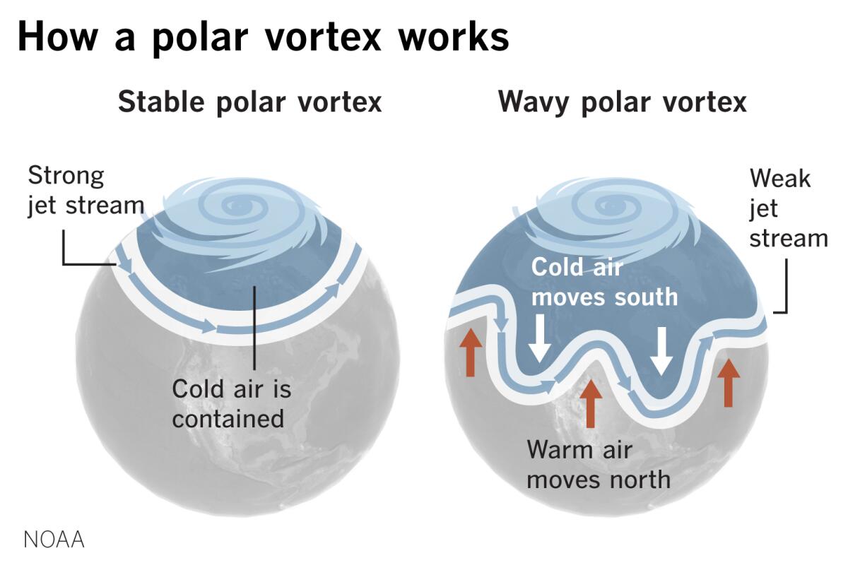 This winter was the sixth-warmest on record because of a strong zonal, west-to-east-flowing polar vortex.