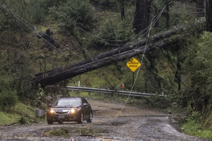 A vehicle drives past fallen trees along Big Basin Way during the latest atmospheric storm event in Boulder Creek, Calif. Tuesday, March 21, 2023. (Stephen Lam/San Francisco Chronicle via AP)