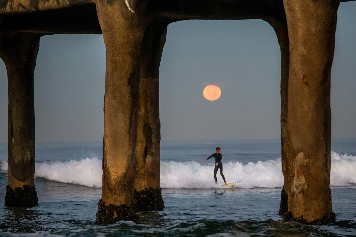 A surfer rides a wave near the pier before dawn with a pink moon in the background. 
